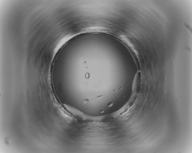 X0000094951336200712201129