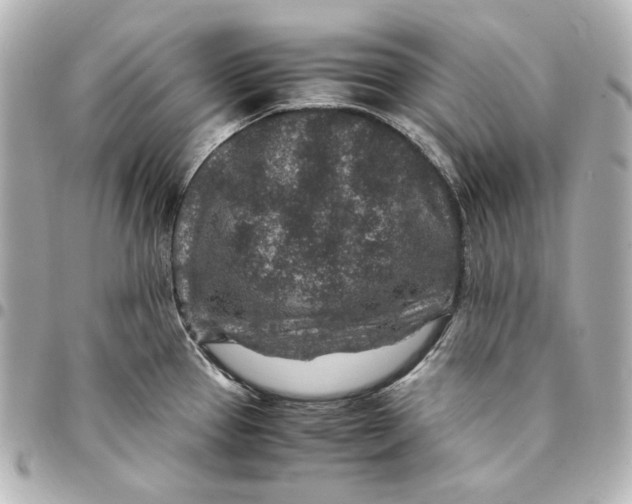 X0000094951337200712201129