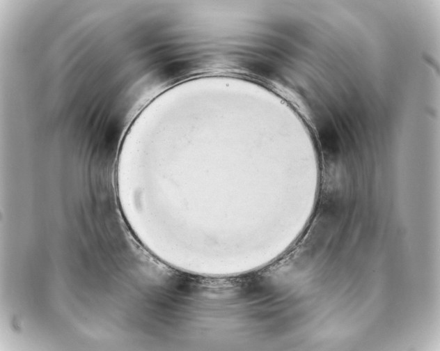 X0000094951338200712201129