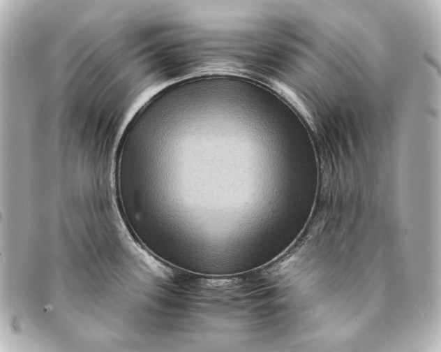 X0000094951339200712201129