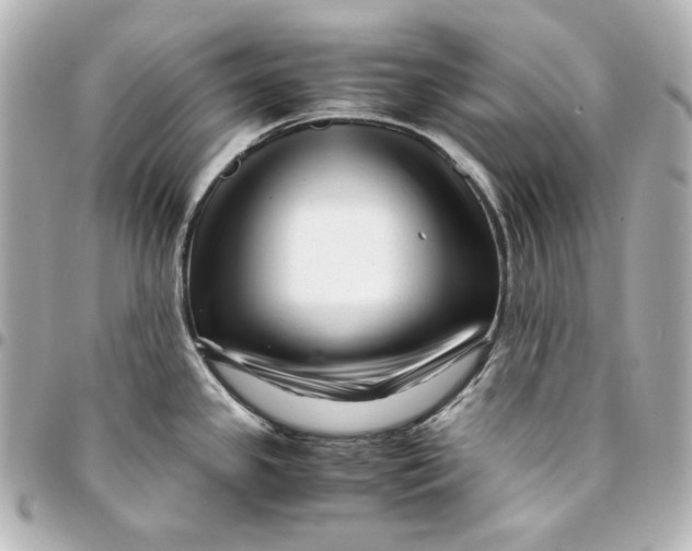 X0000094951341200712201129