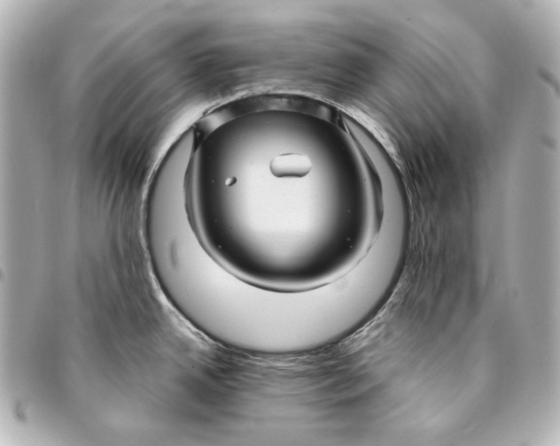 X0000094951342200712201129