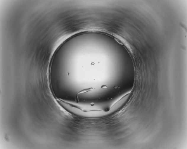 X0000094951343200712201129