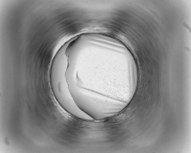 X0000094951344200712201129