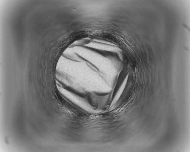 X0000094951345200712201128