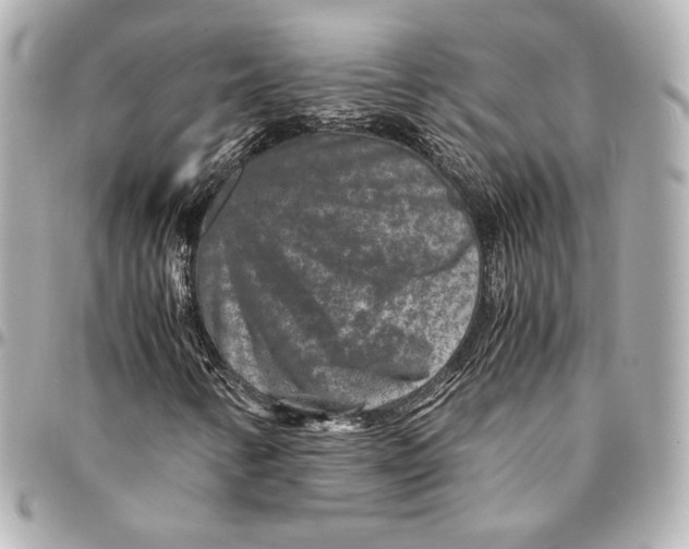 X0000094951346200712201128