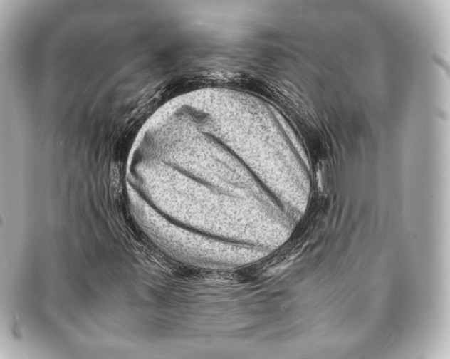 X0000094951347200712201128