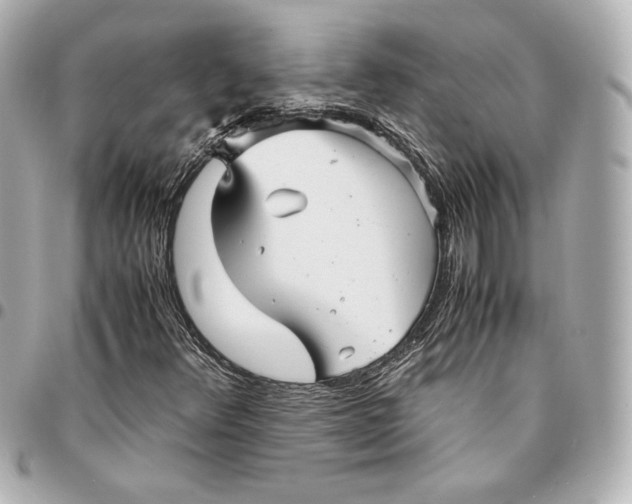 X0000094951348200712201128