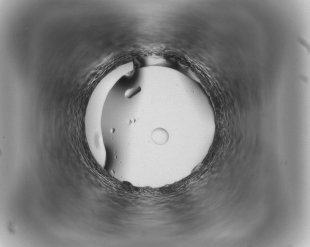 X0000094951349200712201128