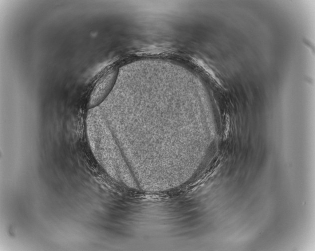 X0000094951350200712201128