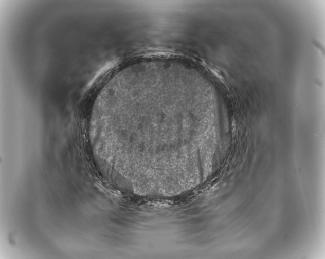 X0000094951351200712201128