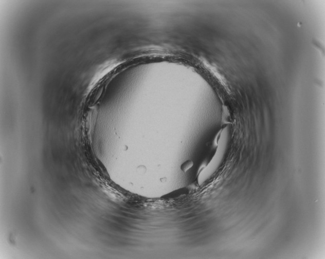 X0000094951352200712201128