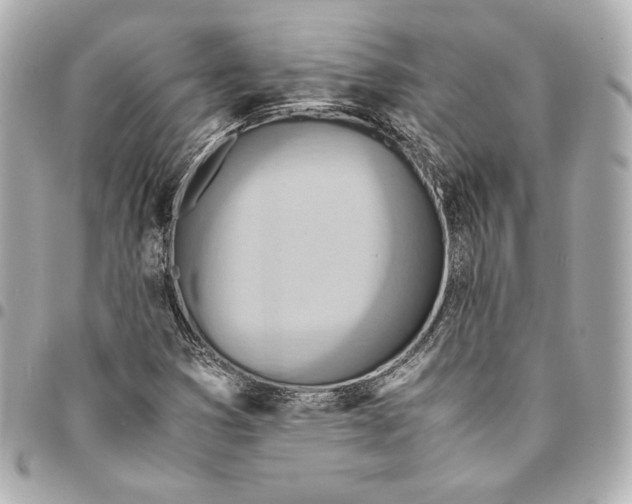 X0000094951353200712201128