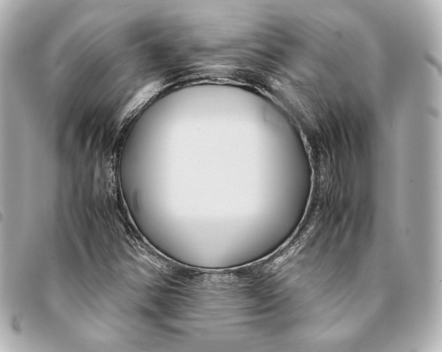 X0000094951354200712201128