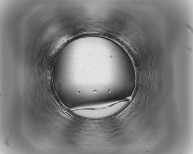 X0000094951355200712201128