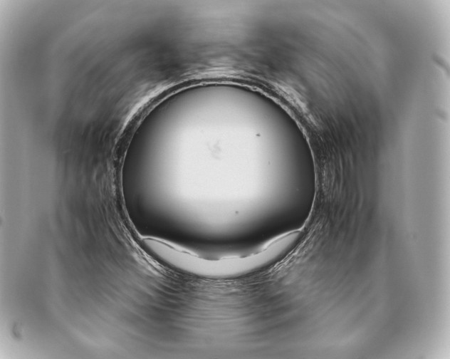 X0000094951356200712201128