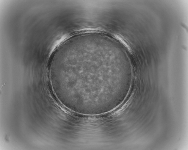 X0000094951357200712201128