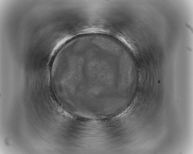 X0000094951358200712201128