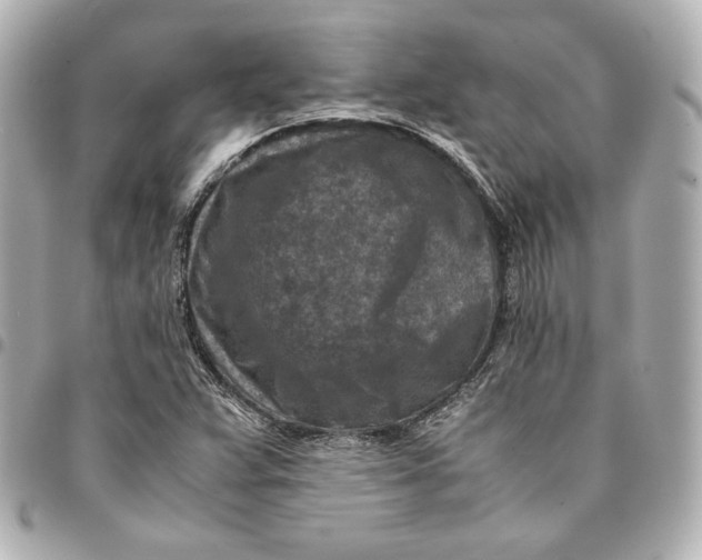 X0000094951359200712201128