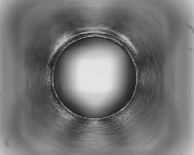 X0000094951360200712201128