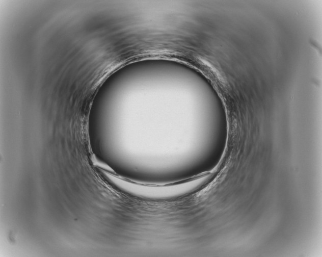 X0000094951361200712201128