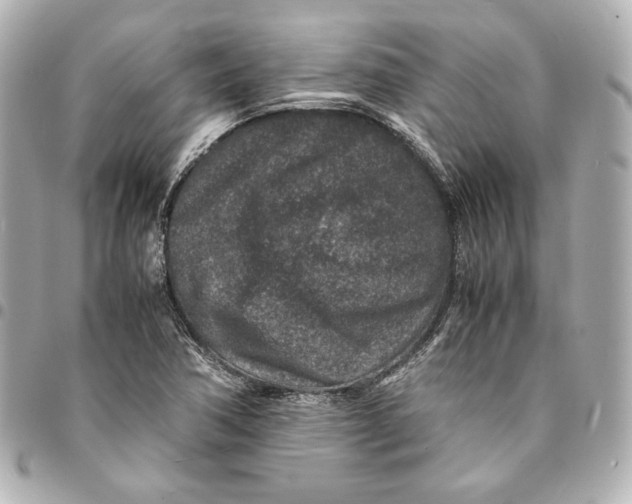 X0000094951362200712201128