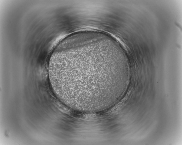 X0000094951363200712201128