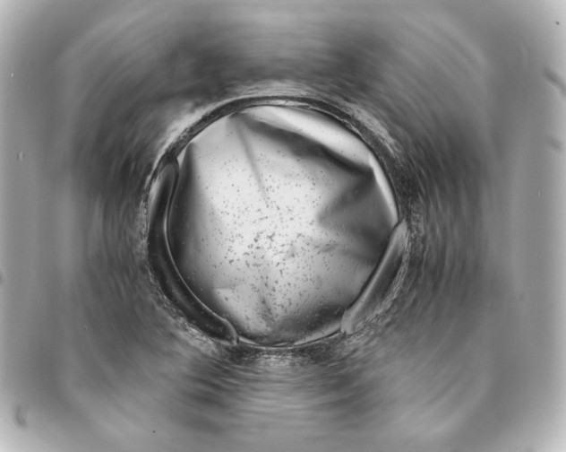 X0000094951364200712201128