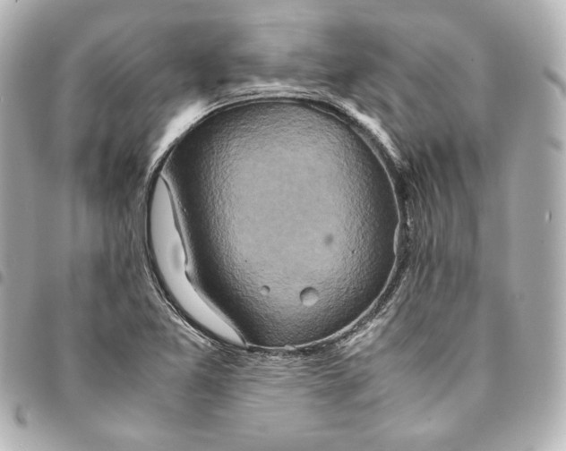 X0000094951365200712201128