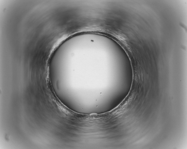 X0000094951366200712201128