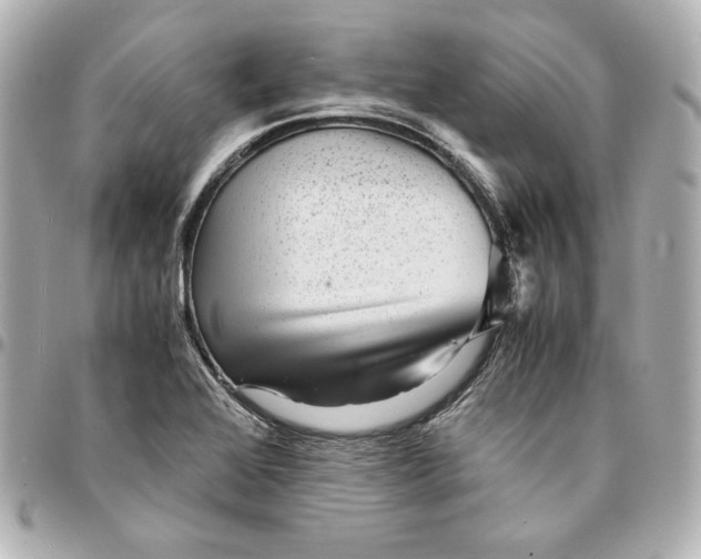 X0000094951368200712201128