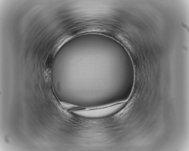 X0000094951369200712201128