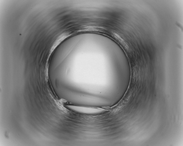 X0000094951370200712201128