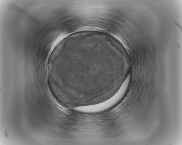 X0000094951371200712201128