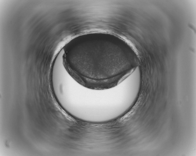 X0000094951373200712201128