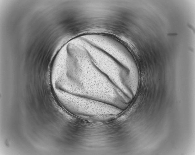 X0000094951374200712201128