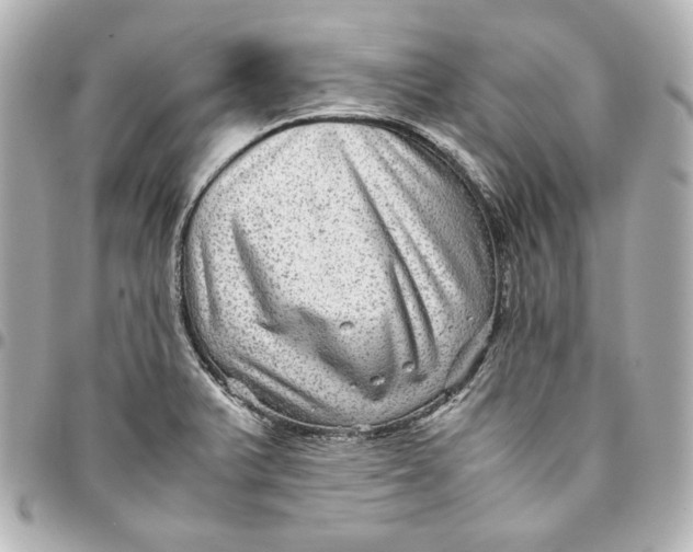 X0000094951375200712201128