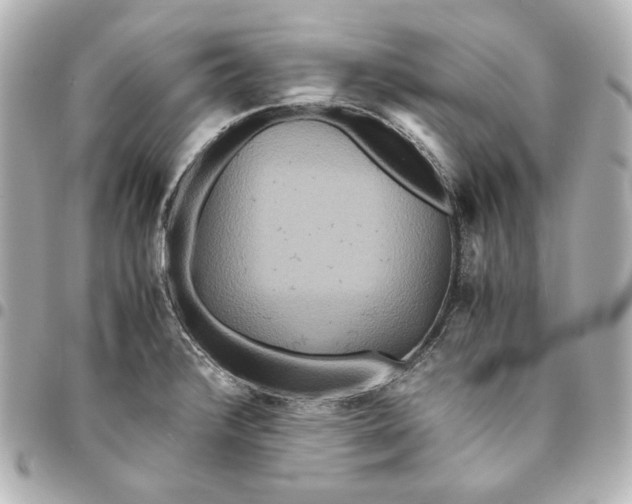 X0000094951376200712201128