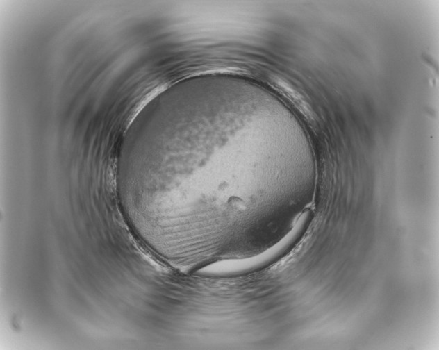 X0000094951377200712201128