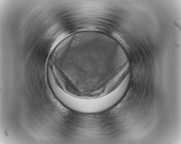 X0000094951378200712201128