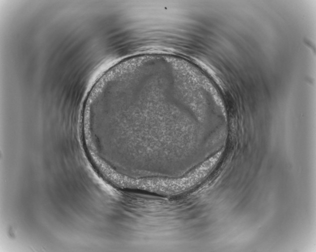 X0000094951379200712201128