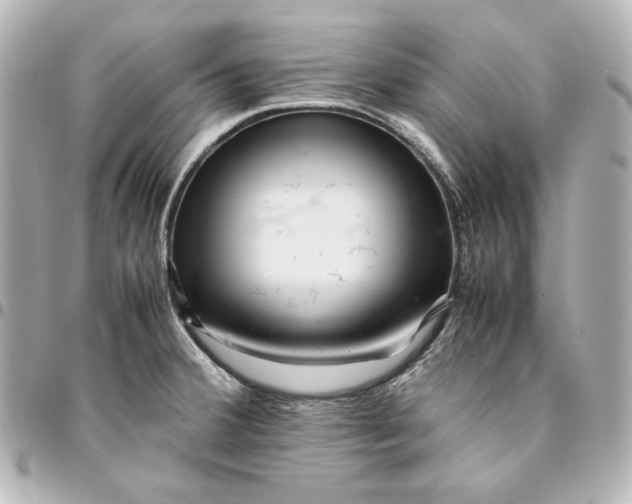 X0000094951380200712201127