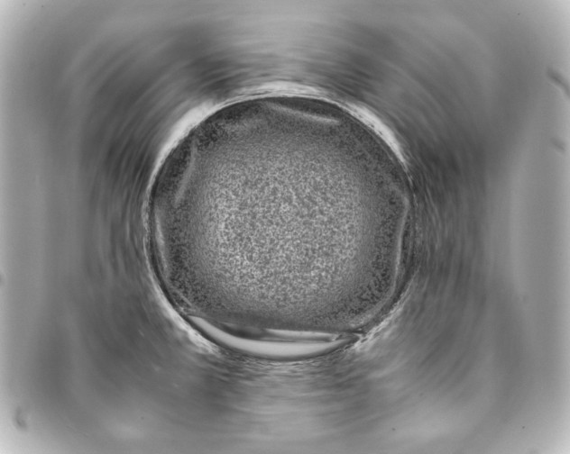 X0000094951381200712201127