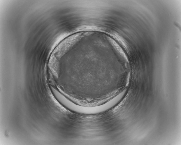 X0000094951382200712201127