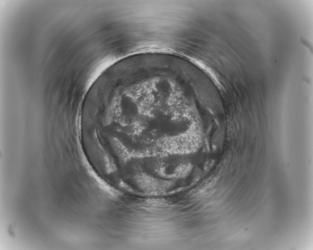 X0000094951383200712201127