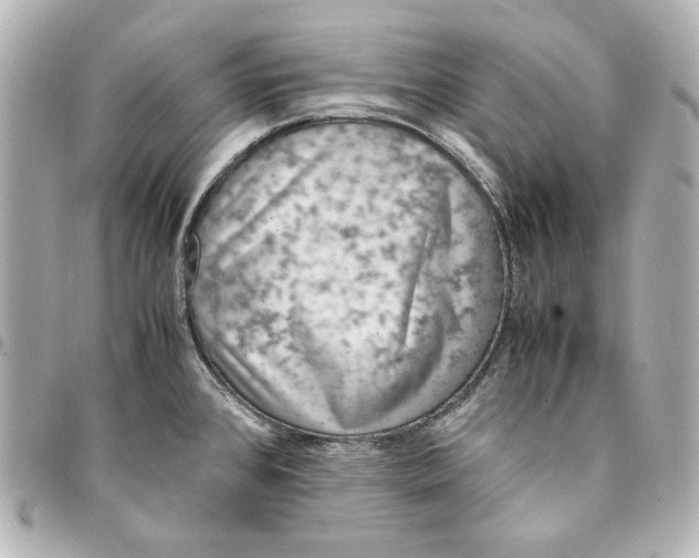 X0000094951384200712201127