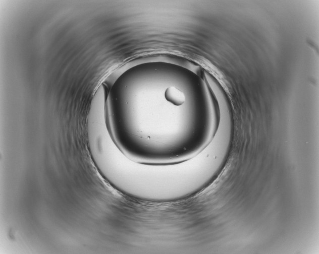 X0000094951385200712201127