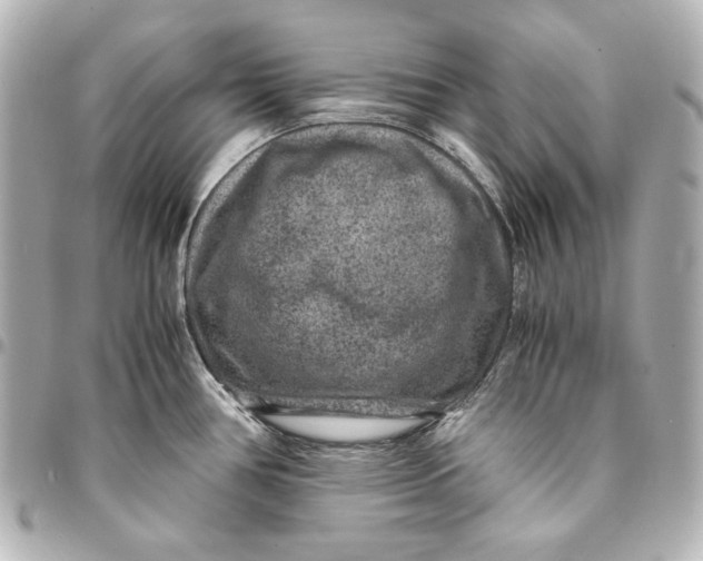 X0000094951386200712201127