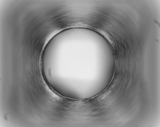 X0000094951387200712201127