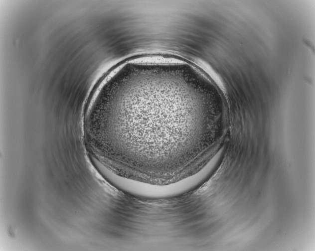 X0000094951388200712201127